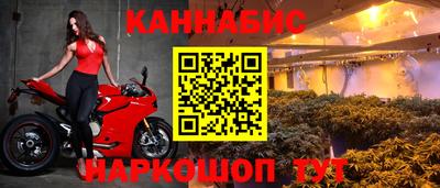 стафф Гусев