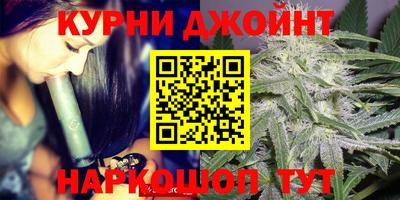 стафф Гусев