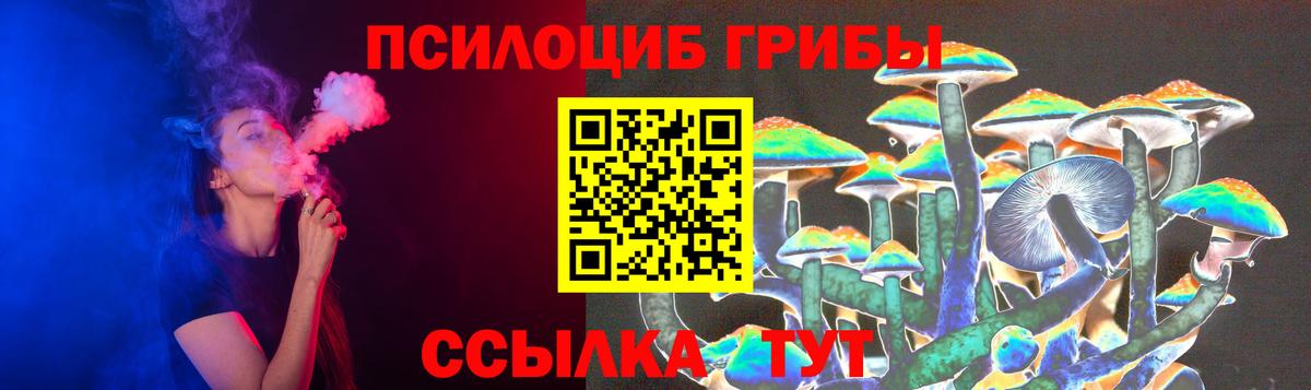 Галлюциногенные грибы ЛСД  Вход с VPN  купить  цена  Галлюциногенные грибы Psilocybine cubensis  Новый Уренгой 