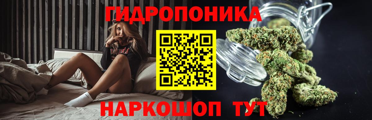МАРИХУАНА SATIVA & INDICA Новый Уренгой